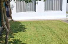 Pineapple Studio - Photo 3