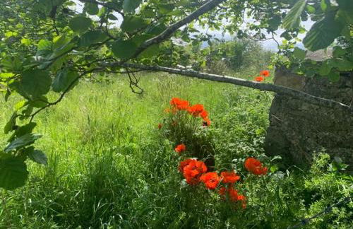 Deveron Valley Cottages - Foto 124