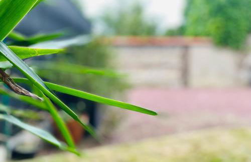 Maison cosy Jardin des Plantes - 9 voyageurs - 388 - Photo 48