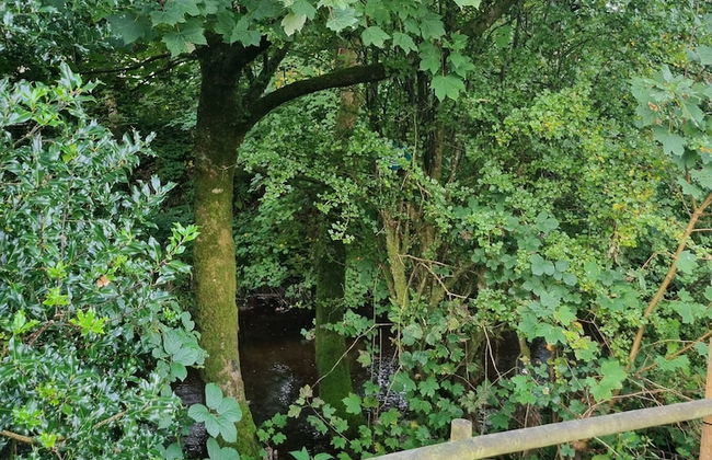 Glamping Hut - Riverview 4 - Photo 15