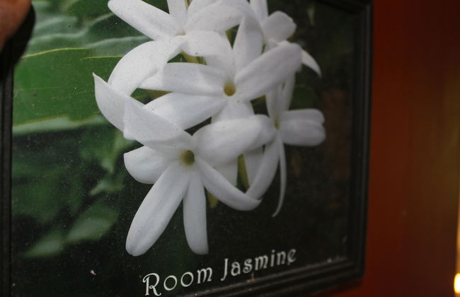 Natures Bliss Holidays - Foto 28