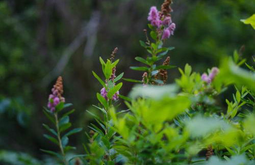 Tig Cottage - a rural, quirky, pet friendly 2 bedroom cottage near Ballantrae - Foto 48