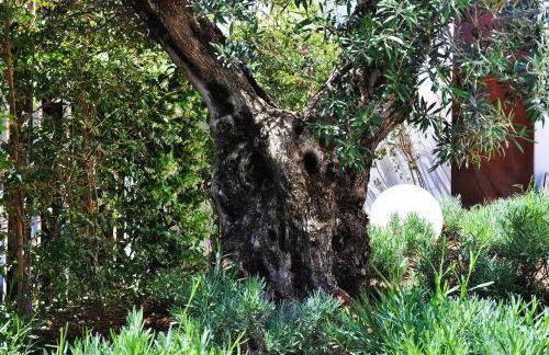 Apartaments B-Llobet Sun & Confort - Foto 53