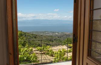 House Gecko - Mount Pelion - Foto 32