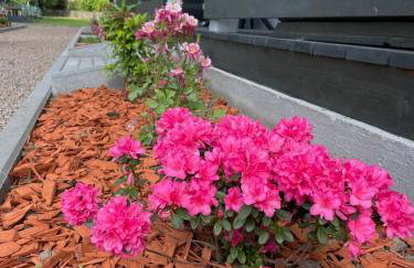 Brzozowy Zakątek Zator - Foto 7