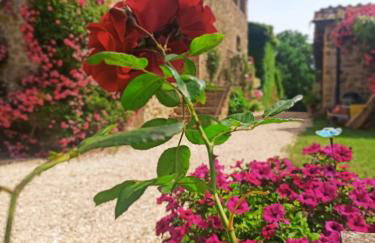 Castellare - Foto 59