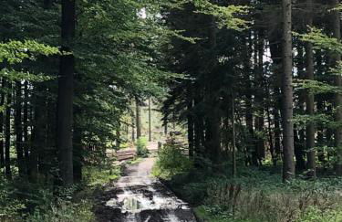 Ferienwohnung am Eggegebirge - Foto 23