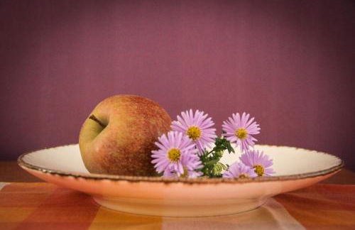 Pensionszimmer im Fliederhof - Foto 28