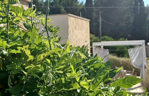 Zeituna Lodge a Porto Cesareo - Foto 17