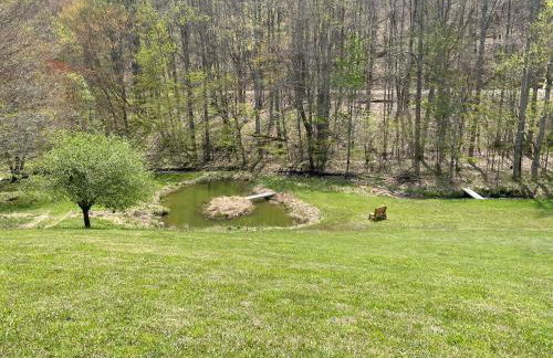 Creekside Getaway - King Bed - Full Kitchen - Foto 39