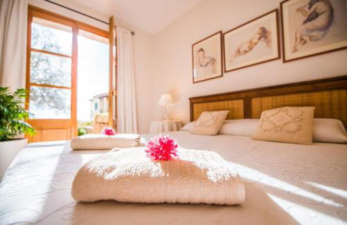 Ideal Property Mallorca - Blau Mari - Foto 20