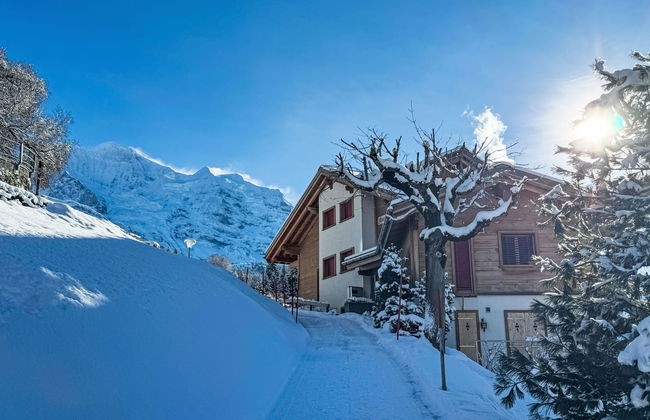 Silberhorn Apt. V - Photo 28