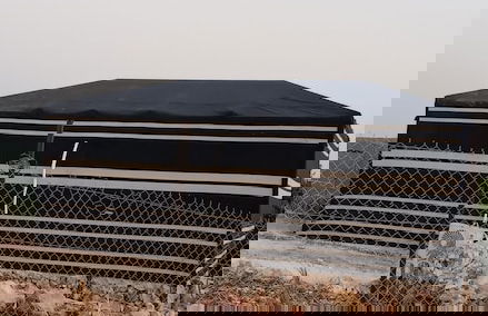 orchid huts - Photo 54