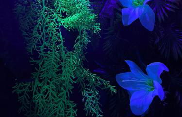 Serengeti Safari Room - Foto 54