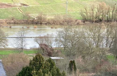 Pünderich Castle View - Foto 6