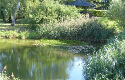 FeWo Dreiseitenblick - Foto 23