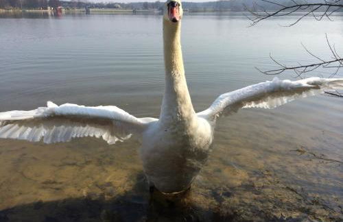 Haus Seewind Hohenfelden - Photo 34