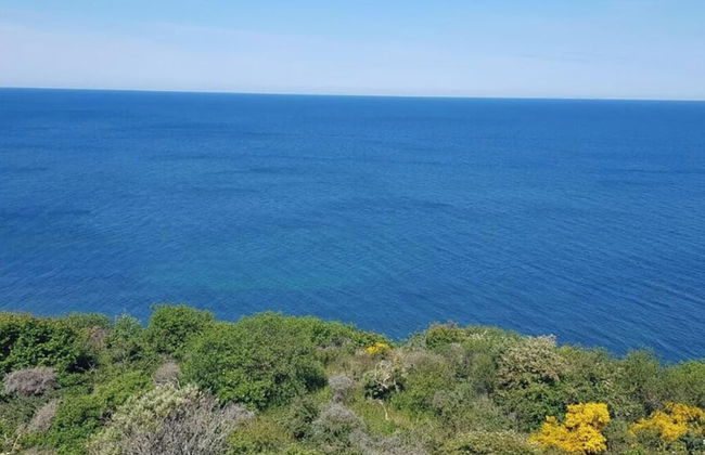 Uitzicht op de Kraanvogel - Foto 16