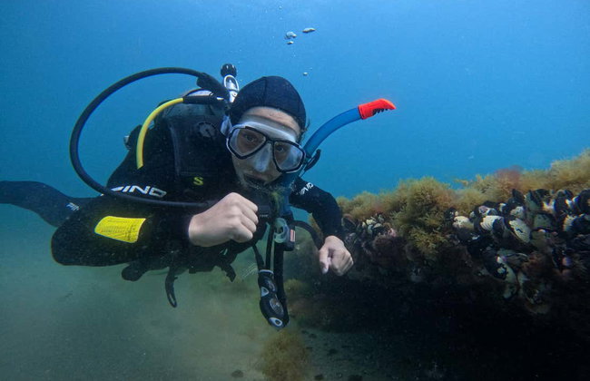 Bautismo de buceo en Puerto Madryn - Foto 6