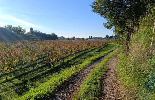 Residenza Gli Agrumi del Garda - Foto 49