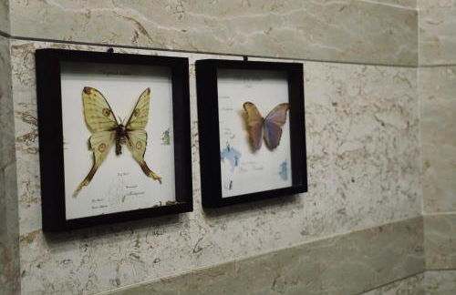 Doma suite 2 - Foto 26