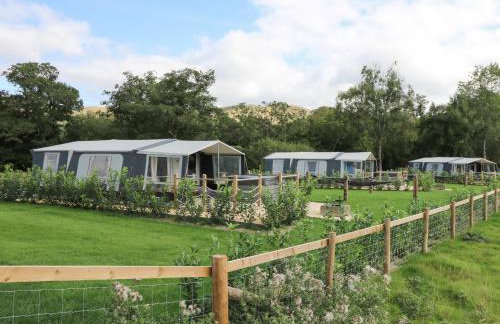 The Kingfisher - Foto 23