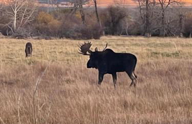 Mountain View Suite - Foto 29