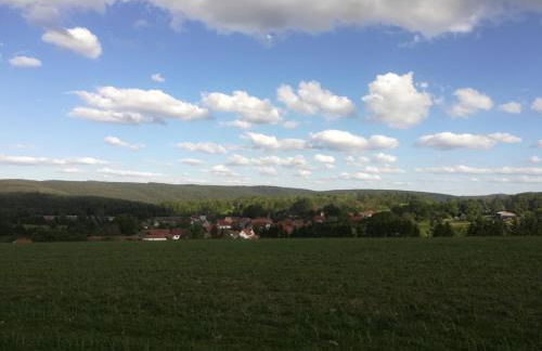 Ferienhof"WaldEsel Rippersroda" - Foto 55