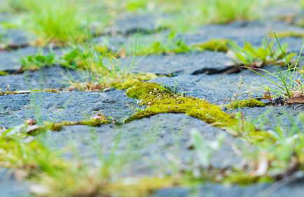 Quinta do Torcaz - Foto 85