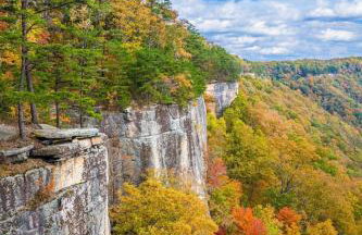 Forest Gap - Pizza oven, hot tub, EV charger - Foto 46