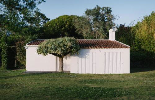 Quinta Do Miguel - Foto 77