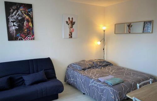 Appartement double à Limoges - Foto 9