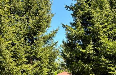 Przystanek Śniardwy - Foto 2