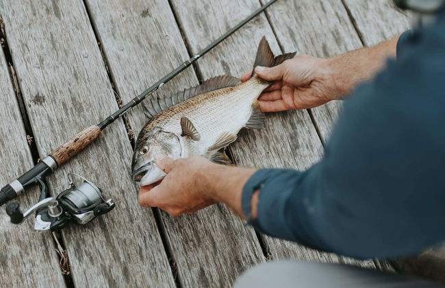 Swan River Sanctuary - Foto 35