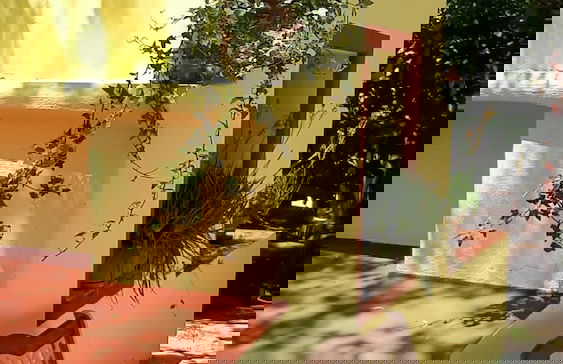 Casa di Campagna Dal Pozzo - Foto 69