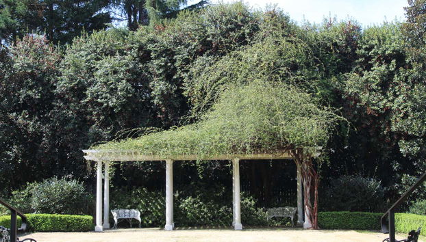 Jardines de Historic Rosedale