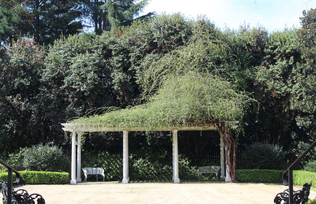 Tour por la plantación Historic Rosedale - Foto 4