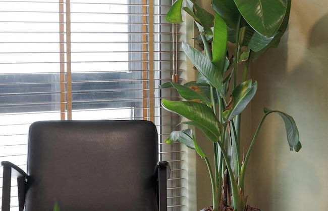 Aria Luxury Apartment - Foto 21