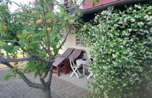 La vie en rose - Photo 36