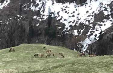 Cherz Romantic House - Foto 32