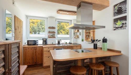 Apartment Lichterfunkeln - Foto 4, stove, dishwasher, pet friendly, toaster