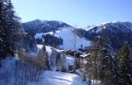 Duplex 4 pièces à 20m des pistes, animaux admis, Crève Coeur - FR-1-356-516 - Photo 8