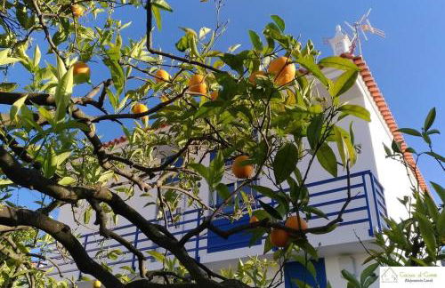 Casa D'Avó (1º Andar) - Photo 1