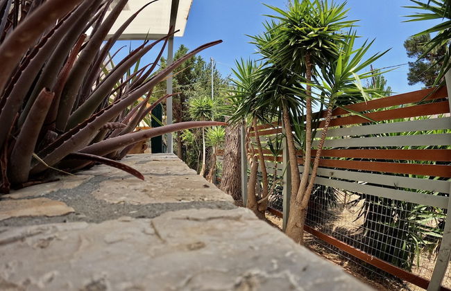 Hector Villa Airport - Foto 42