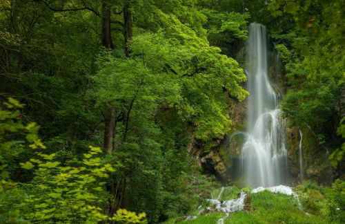 Marie´s Sonnenterrasse - Photo 34