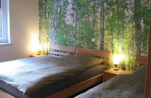 Ferienwohnung BODENSEE , Pension Wauri - Foto 20