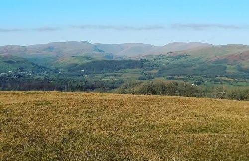 The Orchards - Foto 15