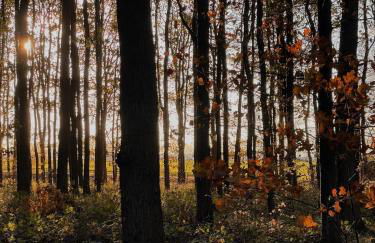 Sonnengelb - Fulgenhaus - Foto 19