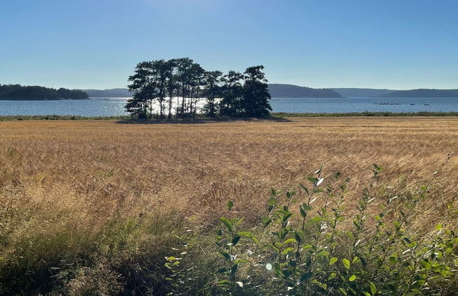 4 Person Holiday Home in Uddevalla-by Traum - Photo 12