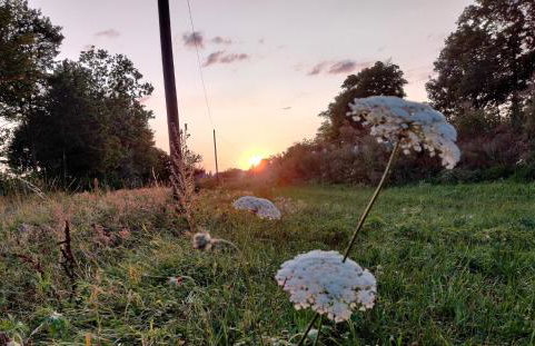 Ferienwohnung am Hollergraben - Foto 29